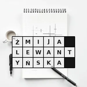 Rozwiązanie krzyżówki: macrovipera lebetina gatunek gada z podrodziny żmij właściwych z rodziny żmijowatych o szerokim zasięgu występowania na wyspach otaczających półwysep bałkański w północnej afryce w azji mniejsz - żmija lewantyńska | hasła, synonimy i podpowiedzi Hasło krzyżówkowe macrovipera lebetina gatunek gada z podrodziny żmij właściwych z rodziny żmijowatych o szerokim zasięgu występowania na wyspach otaczających półwysep bałkański w północnej afryce w azji mniejsz - żmija lewantyńska – rozwiązanie, synonimy, podpowiedzi i definicje krzyżówkowe